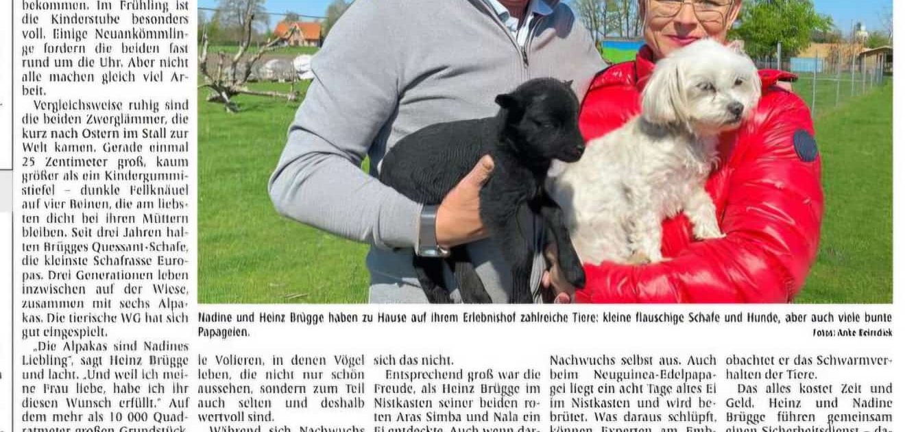Flauschiger Nachwuchs auf dem Erlebnishof Brügge Nadine und Heinz Brügge mit tierischem Nachwuchs auf dem Erlebnishof Brügge in Hopsten
